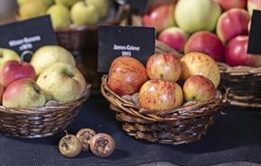 Erddig Apple Harvest Celebration 2025